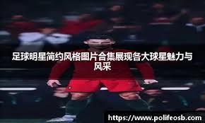[羽毛球]石宇奇晋级男单决赛