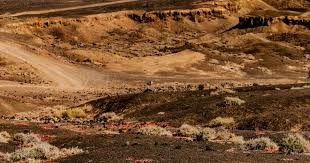 勇士120-113险胜雄鹿：三大亮点带来希望，一大隐患需警惕